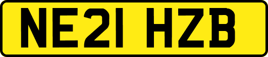 NE21HZB