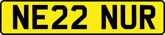 NE22NUR