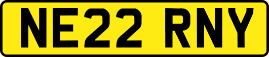 NE22RNY