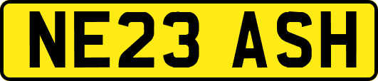NE23ASH