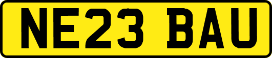 NE23BAU