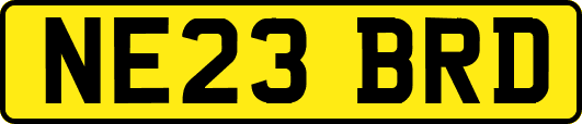 NE23BRD
