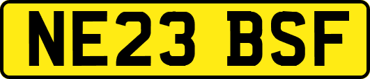 NE23BSF