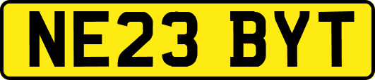 NE23BYT
