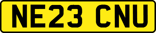 NE23CNU