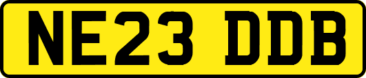 NE23DDB
