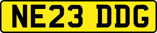 NE23DDG