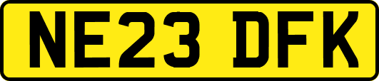 NE23DFK
