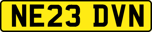NE23DVN