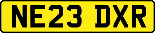 NE23DXR