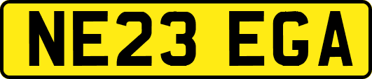 NE23EGA