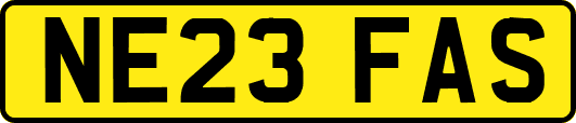 NE23FAS