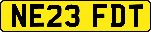 NE23FDT