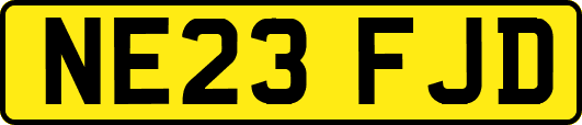 NE23FJD