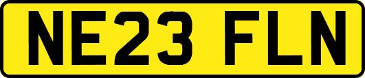 NE23FLN