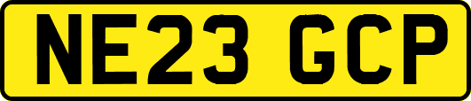 NE23GCP