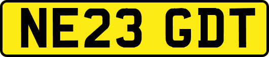 NE23GDT