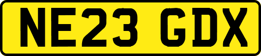 NE23GDX