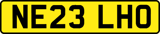 NE23LHO