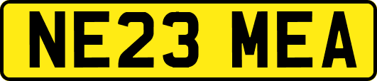 NE23MEA