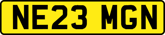 NE23MGN
