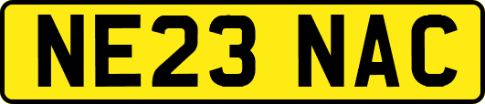 NE23NAC