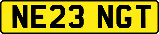 NE23NGT