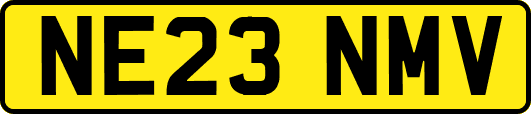 NE23NMV