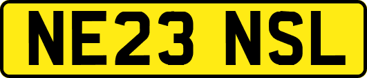 NE23NSL