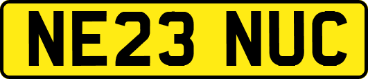 NE23NUC