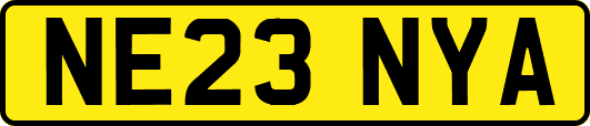 NE23NYA