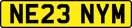 NE23NYM