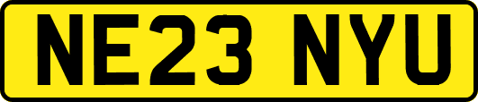 NE23NYU