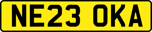 NE23OKA
