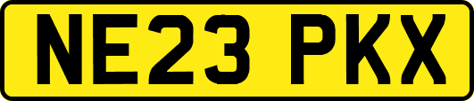 NE23PKX