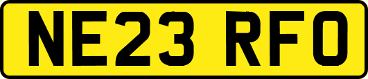 NE23RFO