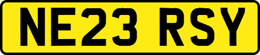 NE23RSY