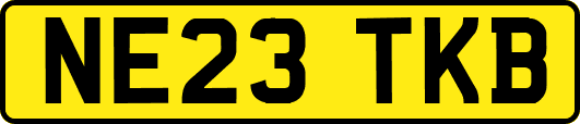 NE23TKB