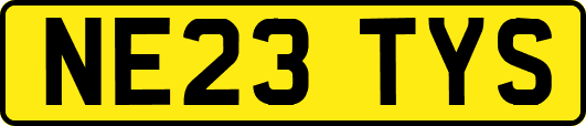 NE23TYS