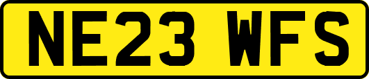 NE23WFS