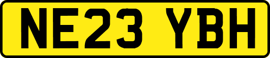 NE23YBH
