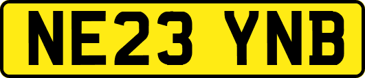 NE23YNB