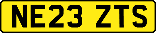 NE23ZTS