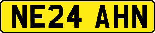 NE24AHN