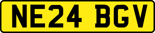 NE24BGV