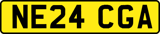 NE24CGA
