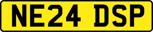 NE24DSP