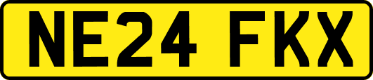 NE24FKX