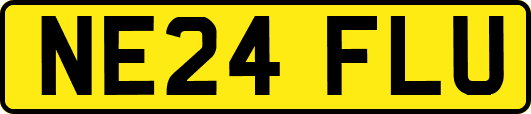 NE24FLU