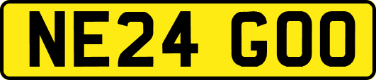 NE24GOO